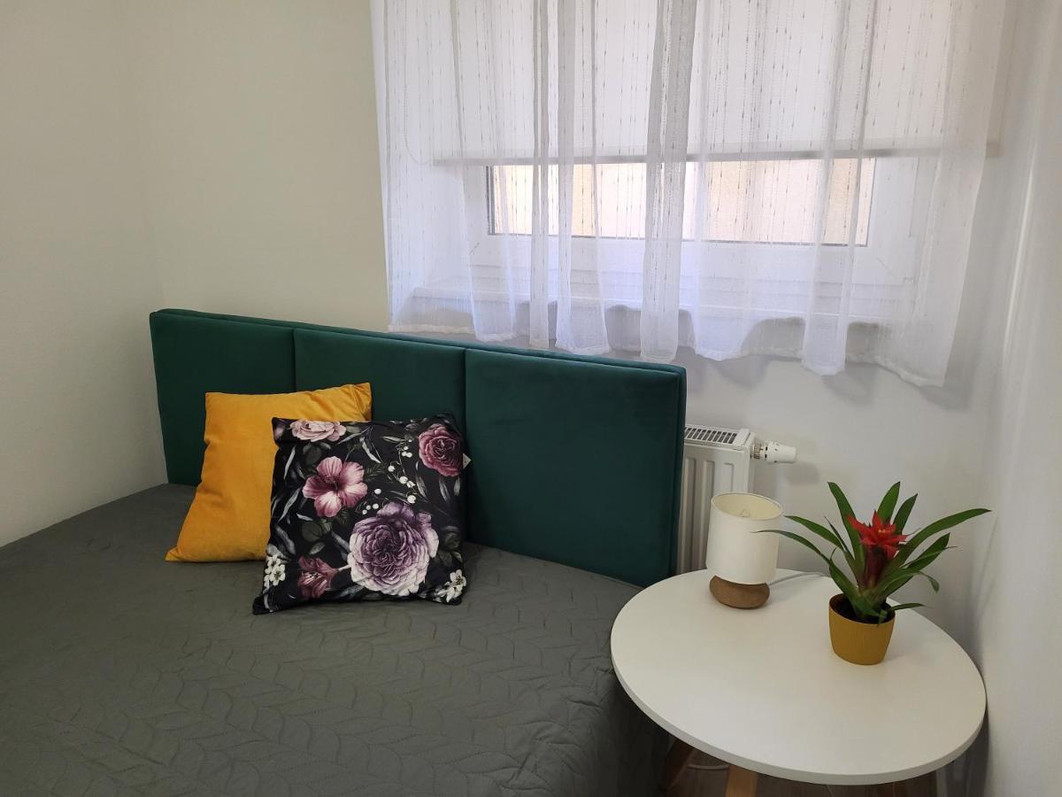 Apartament Z Widokiem-Blizej Zdroju Поляниця-Здруй Екстер'єр фото