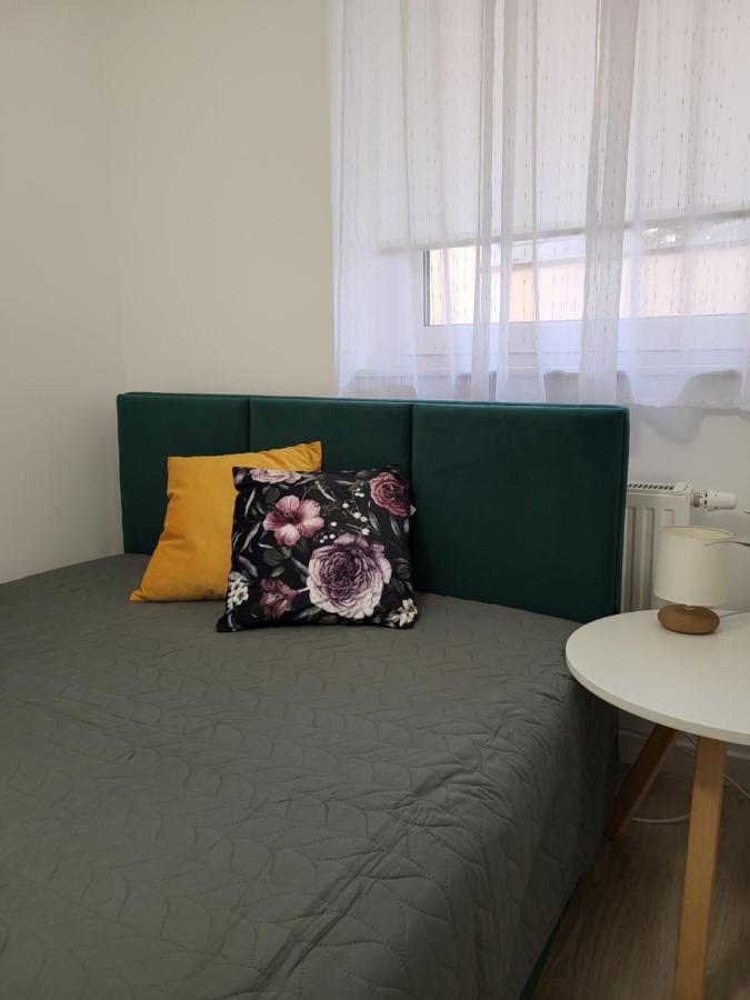 Apartament Z Widokiem-Blizej Zdroju Поляниця-Здруй Екстер'єр фото