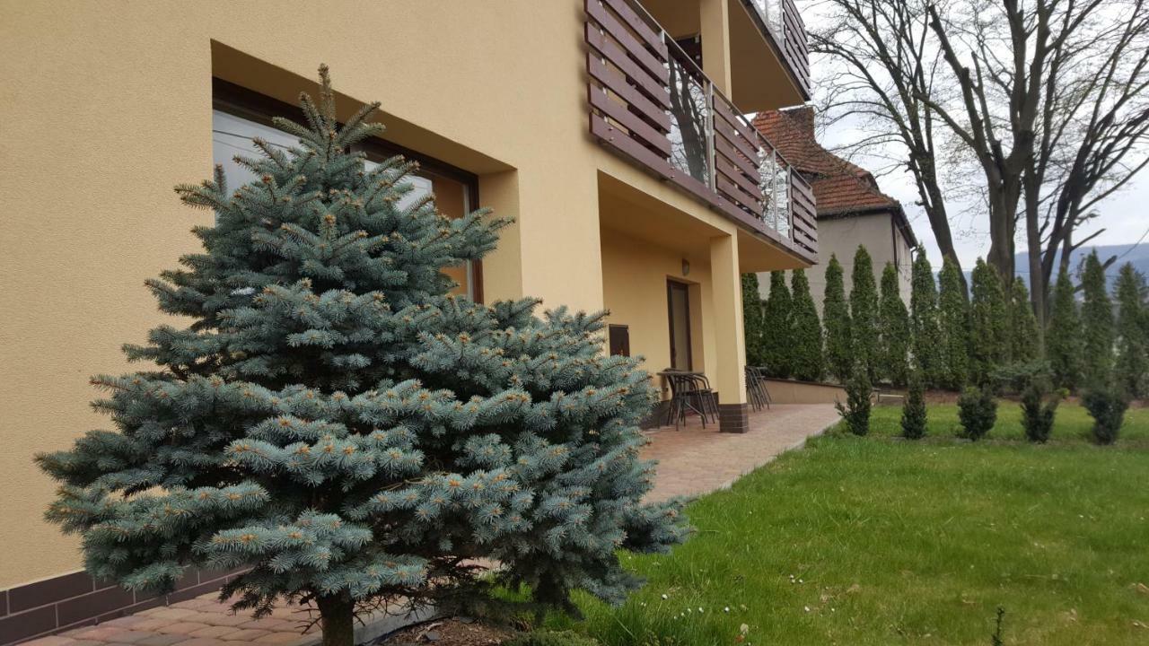 Apartament Z Widokiem-Blizej Zdroju Поляниця-Здруй Екстер'єр фото